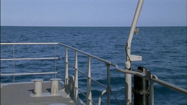 Sea Patrol - Happy Birthday, Bomber