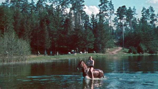 Secrets of the Nazis - Summer