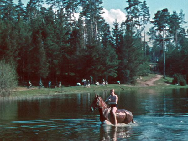 Secrets of the Nazis - Summer