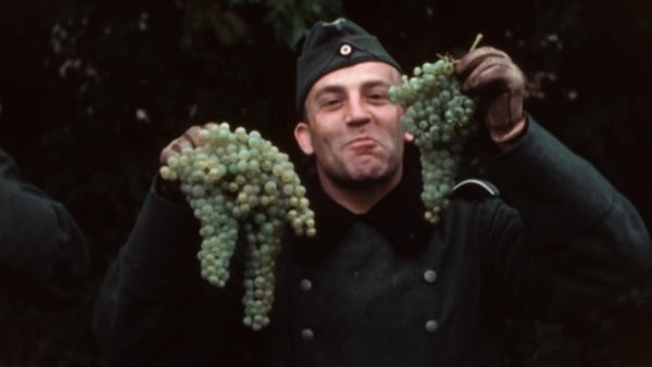 Secrets of the Nazis - Third Reich - Collaboration in the Vineyards