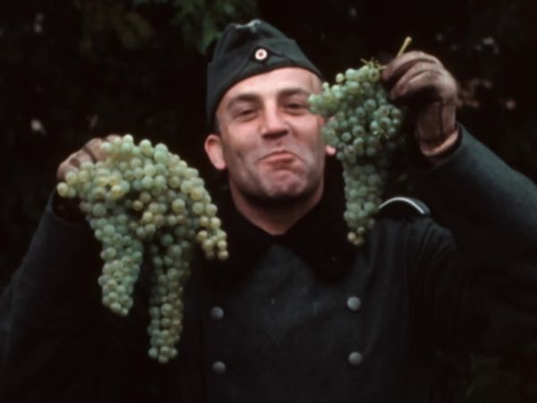 Secrets of the Nazis - Third Reich - Collaboration in the Vineyards