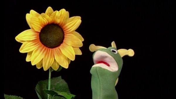 Baby Einstein en español - Bebé Shakespeare: Mundo de poesía