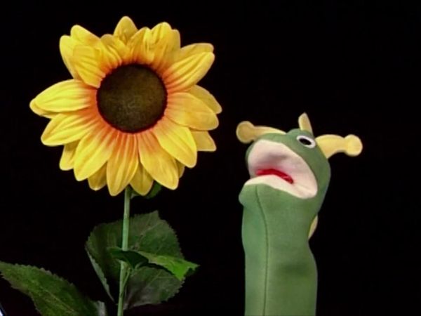 Baby Einstein en español - Bebé Shakespeare: Mundo de poesía