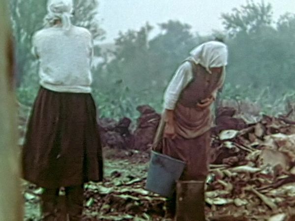 Secrets of the Nazis - Winter