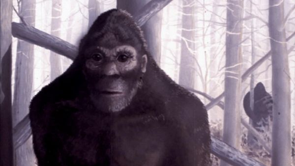 Legend Hunters - Bigfoot Hunters