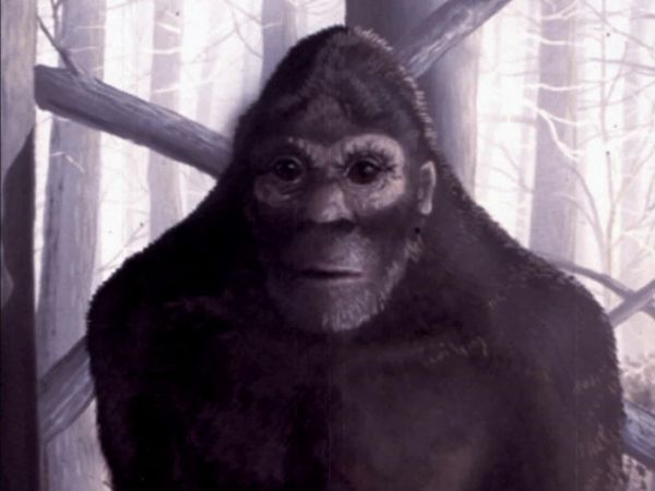 Legend Hunters - Bigfoot Hunters