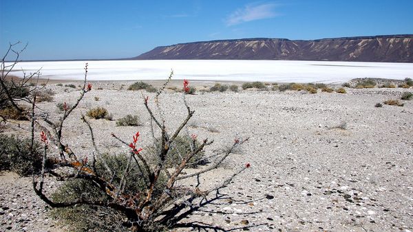 Green Paradise - Mexico: A Desert Between Two Seas