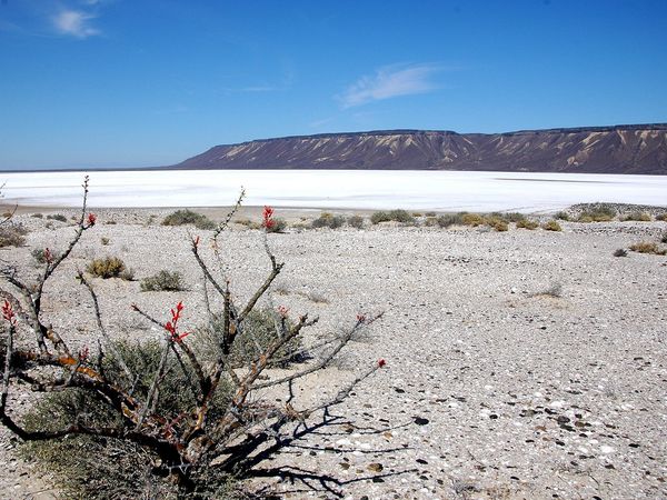 Green Paradise - Mexico: A Desert Between Two Seas