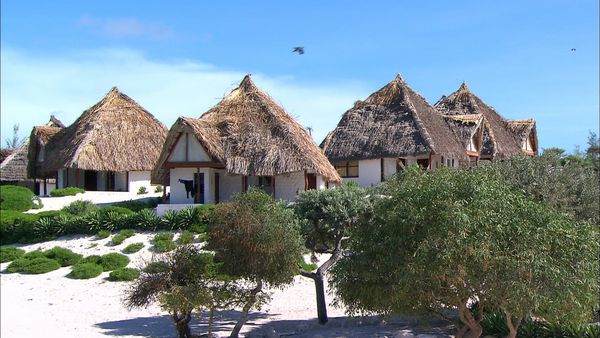 Green Paradise - Madagascar: A Multifaceted Land
