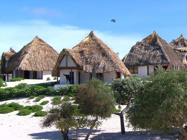 Green Paradise - Madagascar: A Multifaceted Land