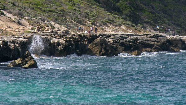Green Paradise - Australia: from the Ocean to the Vine