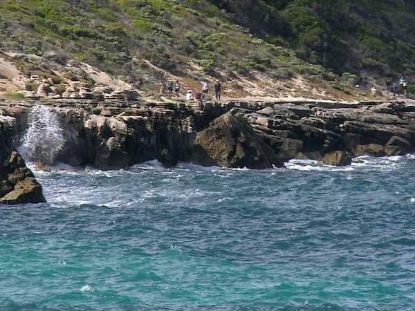 Green Paradise - Australia: from the Ocean to the Vine