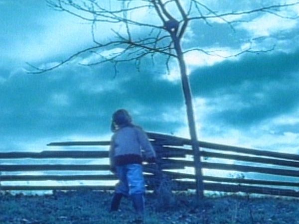 The Outer Limits - Seeds of Destruction