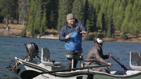 Feral - Lake Trout