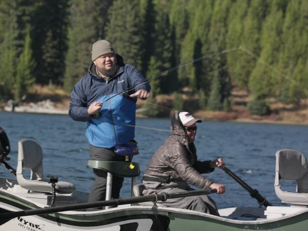 Feral - Lake Trout
