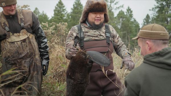 Feral - Beaver