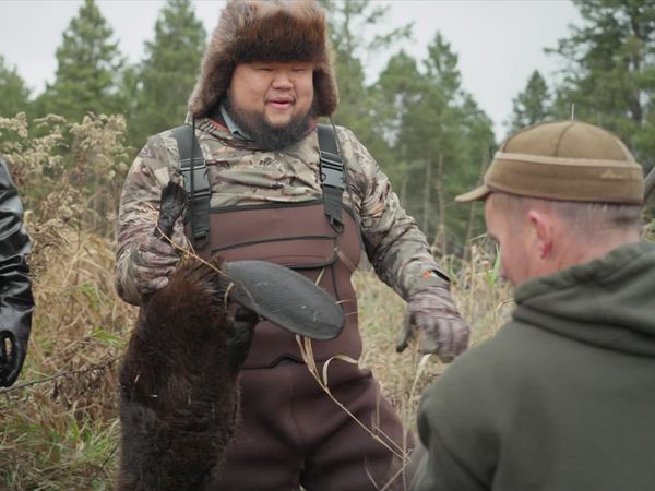 Feral - Beaver