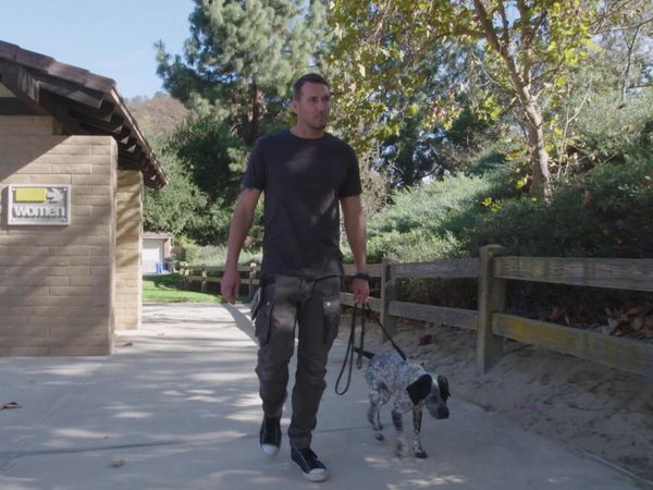 Lucky Dog Reunions - Bella Reunion