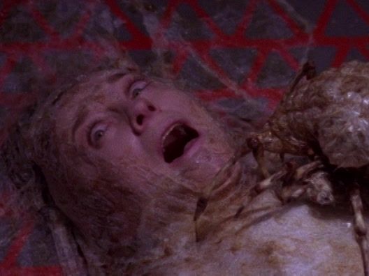 The Outer Limits: 1995 - Tempests