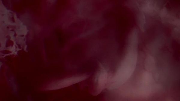 The Outer Limits: 1995 - Re-Generation