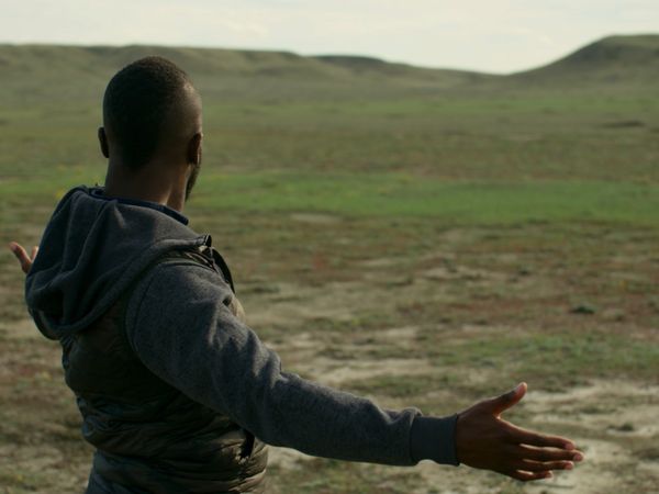 Patrick Aryee's Wild World - Bison
