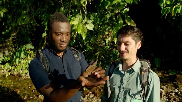 Patrick Aryee's Wild World - Monkeys
