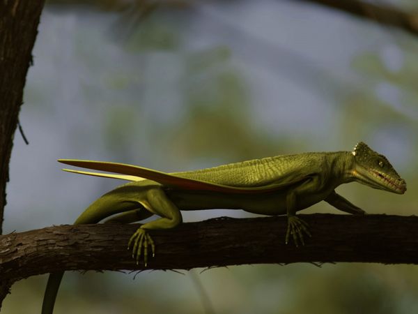 A New Prehistory - Episode 1