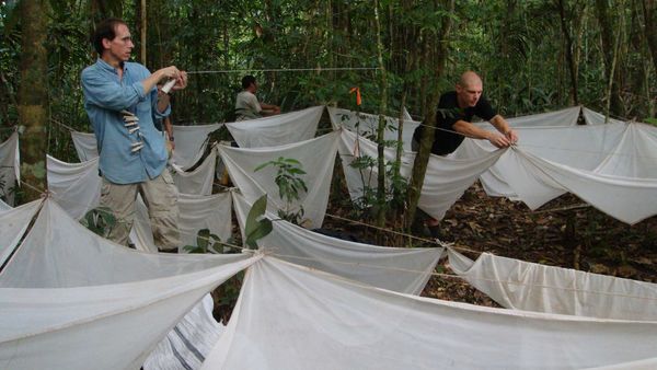 Aliens of the Amazon - Episode 1