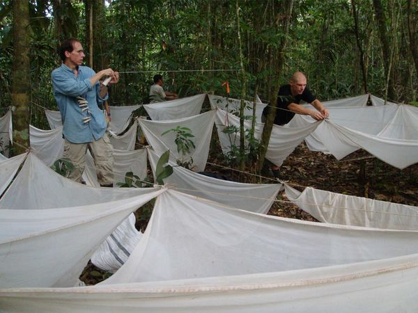 Aliens of the Amazon - Episode 1