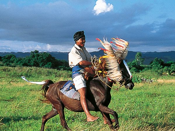 Lands of Legends - RIDERS OF SUMBA ISLAND