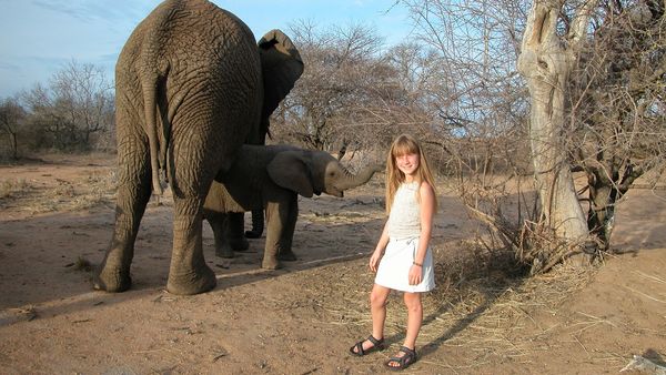 Around the World with Tippi - Tippi and the African Elephants