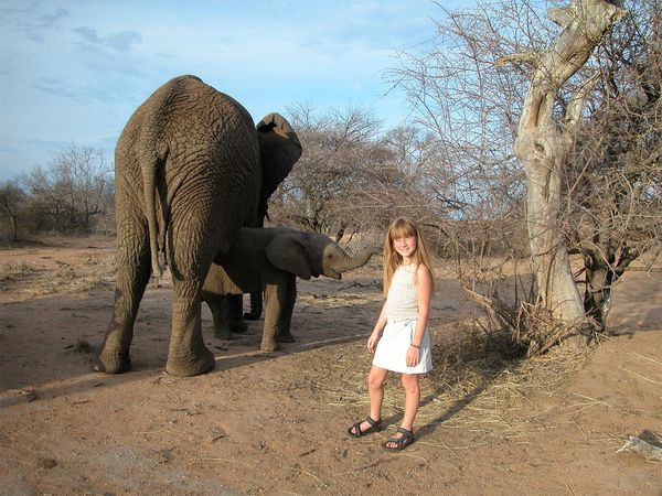 Around the World with Tippi - Tippi and the African Elephants