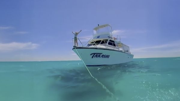 Around the World with Tippi - Tippi and the Whale Shark (Australia)