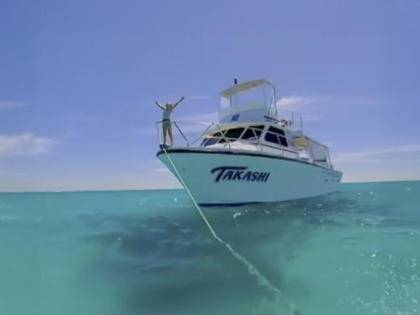 Around the World with Tippi - Tippi and the Whale Shark (Australia)