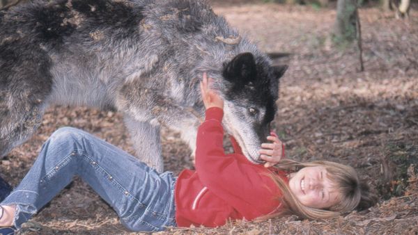 Around the World with Tippi - Tippi and the costal Wolves (Canada)