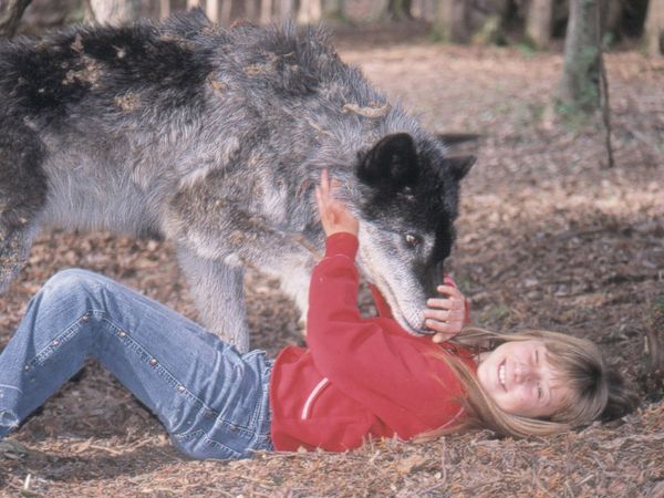 Around the World with Tippi - Tippi and the costal Wolves (Canada)