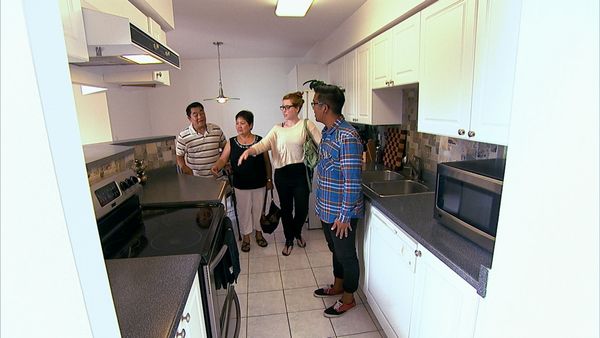 My House, Your Money - The Javier's