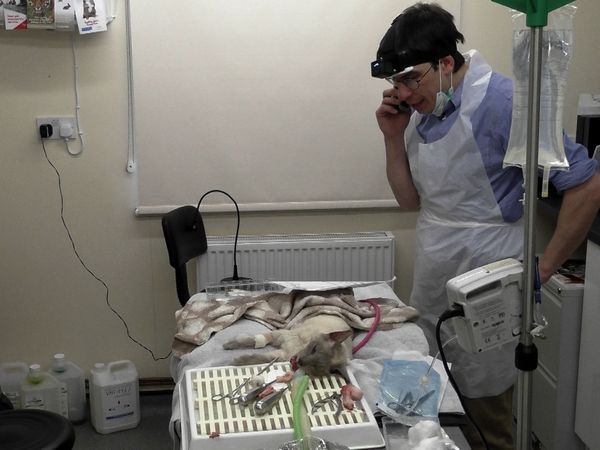 Inside The Vets - Dougie