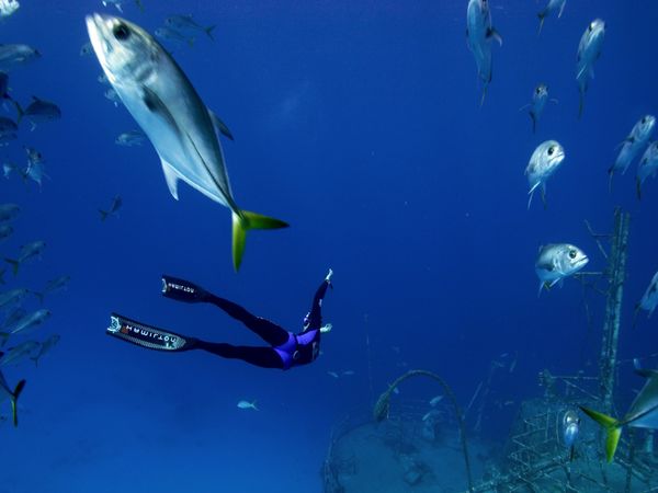 Adventure Ocean Quest - Fragile Mediterranean
