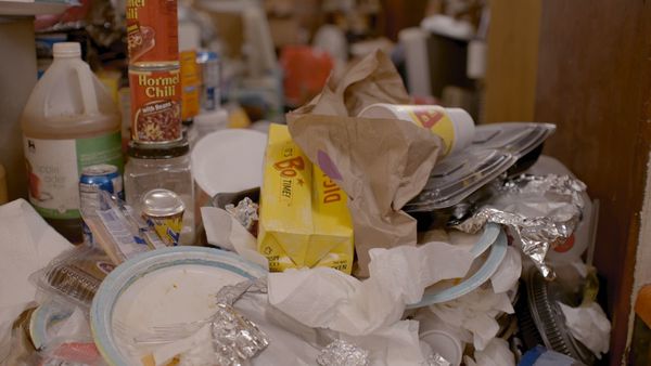 Hoarders - Destiny