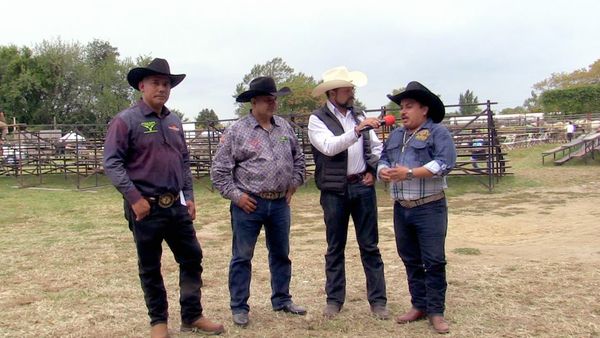 Ahí viene el toro - Torneo Tierra Caliente En Filadelfia
