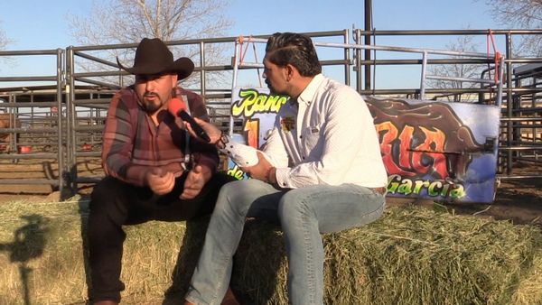 Ahí viene el toro - Rancho San Miguel