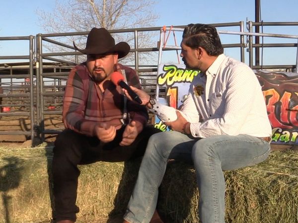 Ahí viene el toro - Rancho San Miguel