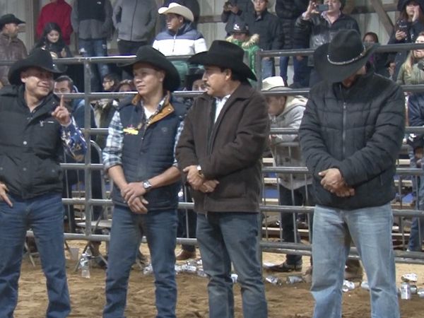 Ahí viene el toro - Torneo Puro Michoacán