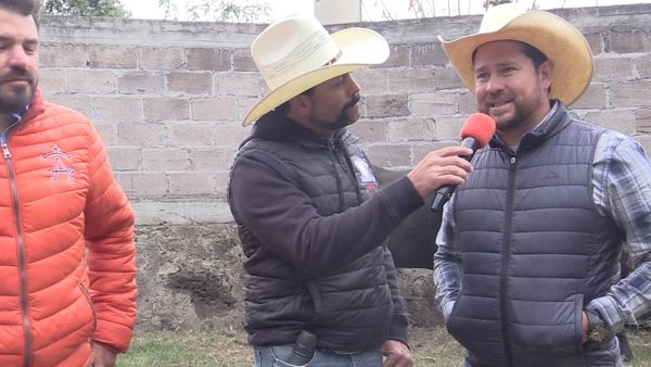 Ahí viene el toro - Destructores en Parácuaro