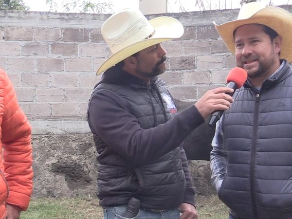 Ahí viene el toro - Destructores en Parácuaro