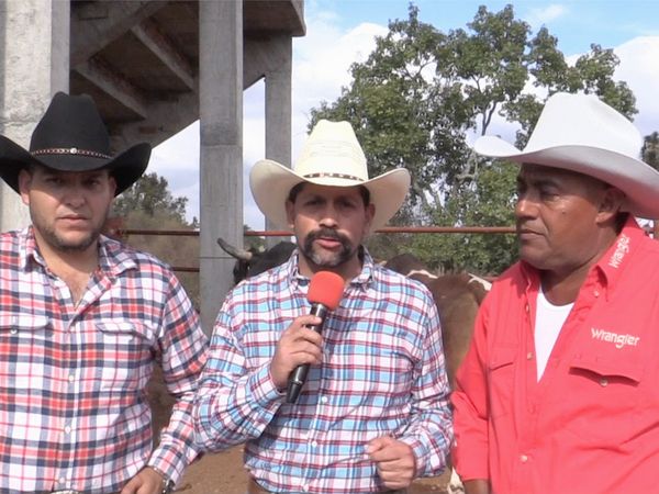Ahí viene el toro - Rancho Barriga en Ziracuaréndiro
