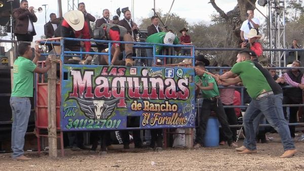 Ahí viene el toro - Rancho La Guadalupana en Tololcingo, Guerrero
