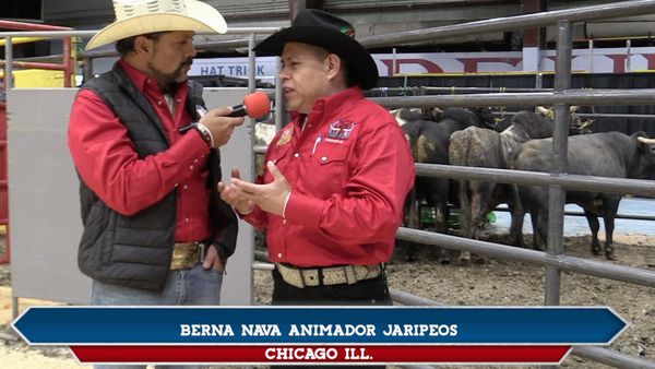 Ahí viene el toro - Torneo Toro de Oro en Chicago
