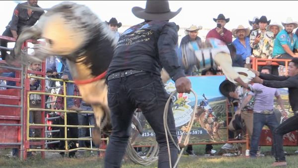 Ahí viene el toro - Los Tsunamis y Rancho Domínguez en Orlando